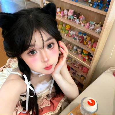 山菊花海报